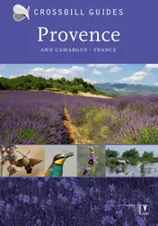 Omslag van Provence and Camargue
