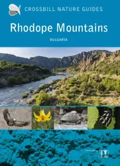 Omslag van Rhodope Mountains