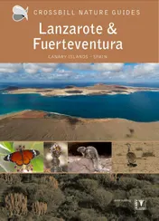 Omslag van Crossbill Guide Lanzarote and Fuerteventura
