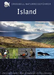 Omslag van Crossbill Guide Island