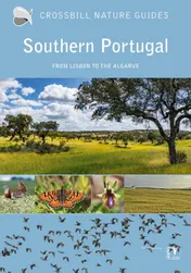 Omslag van Southern Portugal
