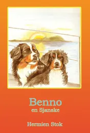 Omslag van Benno en Sjanske