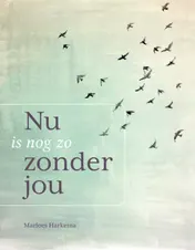 Omslag van Nu is nog zo zonder jou