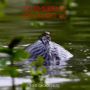 Omslag van Sluimerend dynamiet 2.0