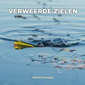Omslag van Verweerde Zielen
