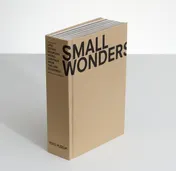 Omslag van Small wonders