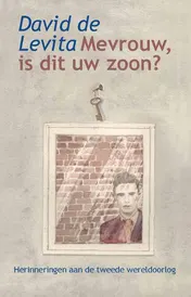 Omslag van Mevrouw, is dit uw zoon?