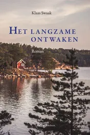Omslag van Het langzame ontwaken