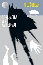 Omslag van De schaduw van de kathedraal