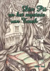 Omslag van Dix Pit en het mysterie van Torak