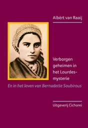 Omslag van Verborgen geheimen in het Lourdes-mysterie