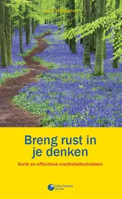 Omslag van Breng rust in je denken