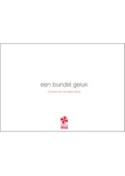 Omslag van Een bundel geluk
