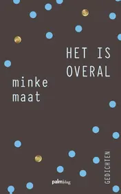 Omslag van Het is overal