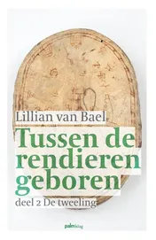 Omslag van De tweeling
