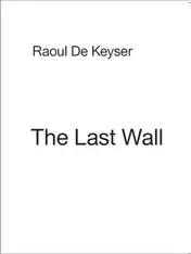 Omslag van The last wall