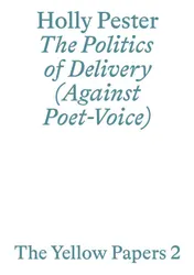 Omslag van The Politics of Delivery