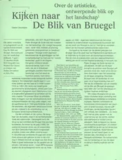 Omslag van Kijken naar de Blik van Bruegel