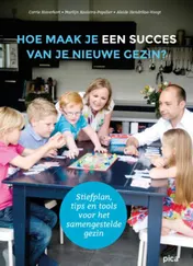 Omslag van Hoe maak je een succes van je nieuwe gezin?