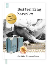 Omslag van Bestemming bereikt