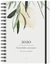 Omslag van Vrolijk Agenda 2020 groot