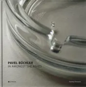 Omslag van Pavel Büchler
