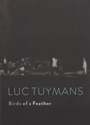 Omslag van Luc Tuymans