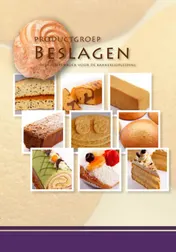 Omslag van Beslagen