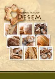 Omslag van Productgroep desem