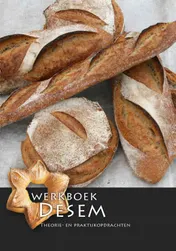Omslag van Werkboek desem