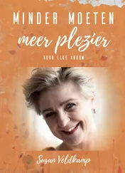 Omslag van Minder moeten meer plezier