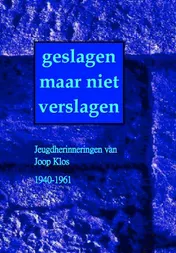 Omslag van Geslagen maar niet verslagen