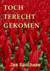 Omslag van Toch terecht gekomen