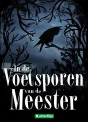 Omslag van In de voetsporen van de meester