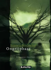 Omslag van Ongrijpbaar