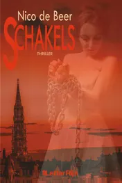 Omslag van Schakels