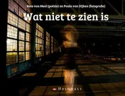Omslag van Wat niet te zien is