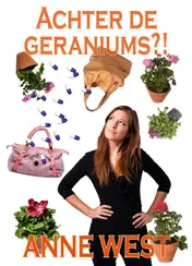 Omslag van Achter de geraniums