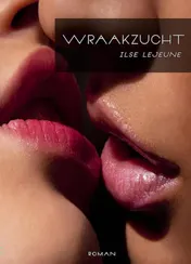 Omslag van Wraakzucht