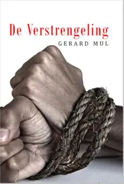 Omslag van De verstrengeling