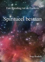 Omslag van Spiritueel bestaan