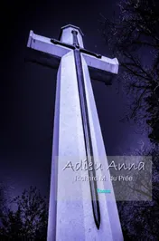Omslag van Adieu Anna
