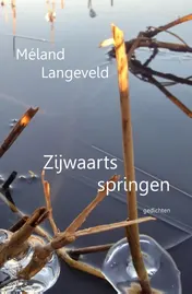 Omslag van Zijwaarts springen