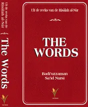 Omslag van The Words