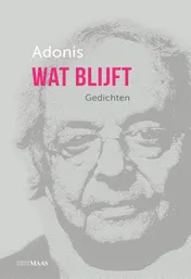 Omslag van Wat blijft