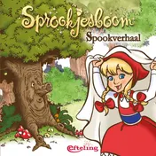 Omslag van Spookverhaal