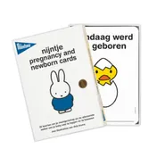 Omslag van Milestone pregnancy cards