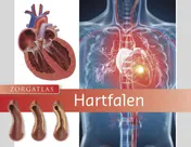 Omslag van Hartfalen