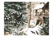 Omslag van Schoolplaat Vogels in de Winter