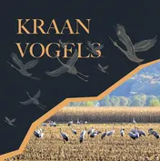 Omslag van Kraanvogels